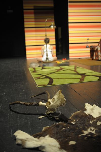 PPA 2012 - spektaklu Off - Safari zebra