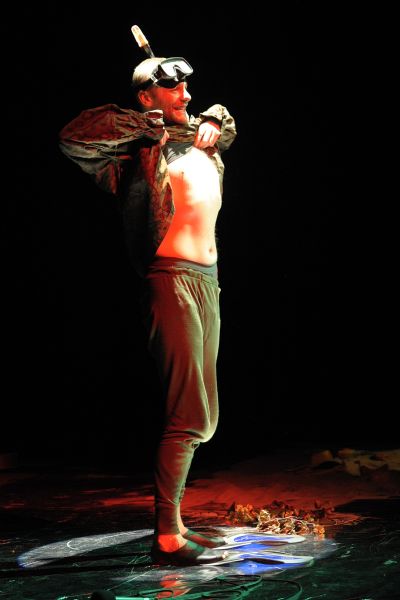 PPA 2012 - spektaklu Off - Safari zebra