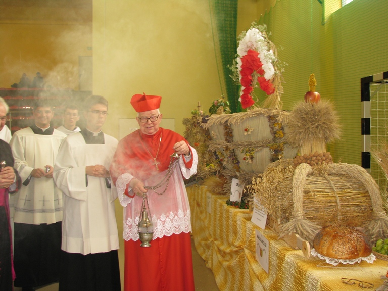 Festiwal Lata w Miękini