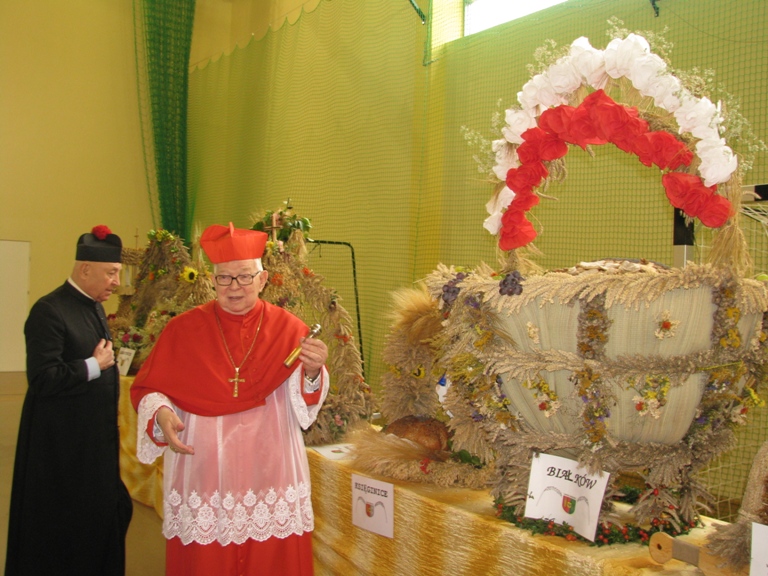 Festiwal Lata w Miękini