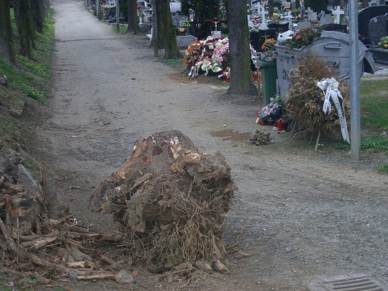 Cmentarz czy śmietnik