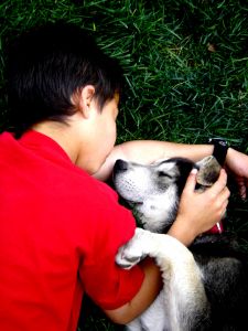 Światowy Dzień Zwierząt