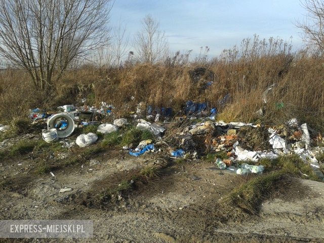 Droga w okolicach Rakoszyc