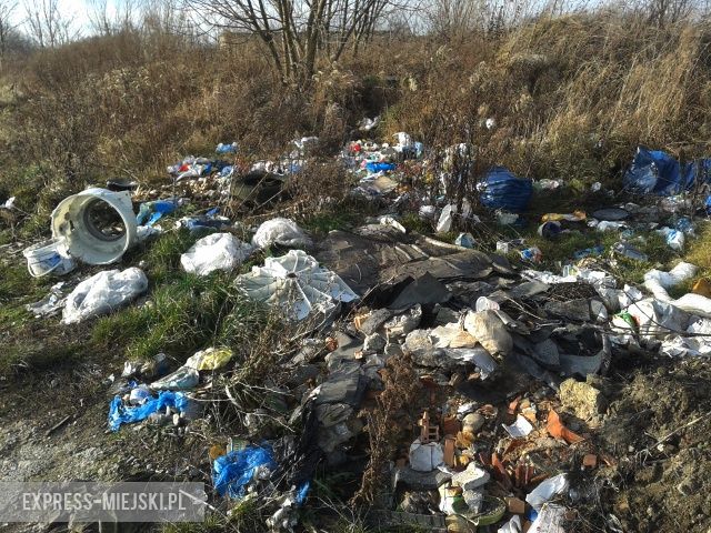 Droga w okolicach Rakoszyc