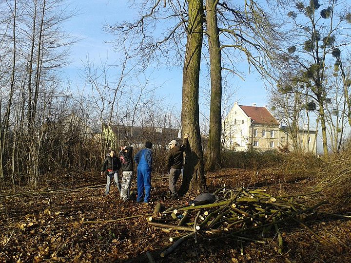 Sprzątanie parku i zakup nowych ławek