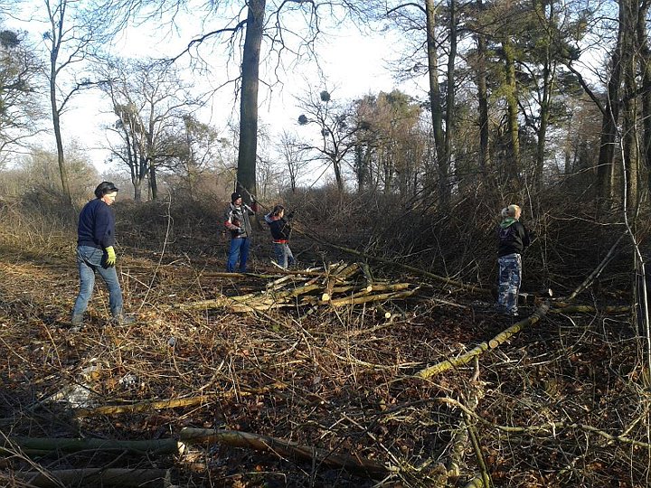 Sprzątanie parku i zakup nowych ławek