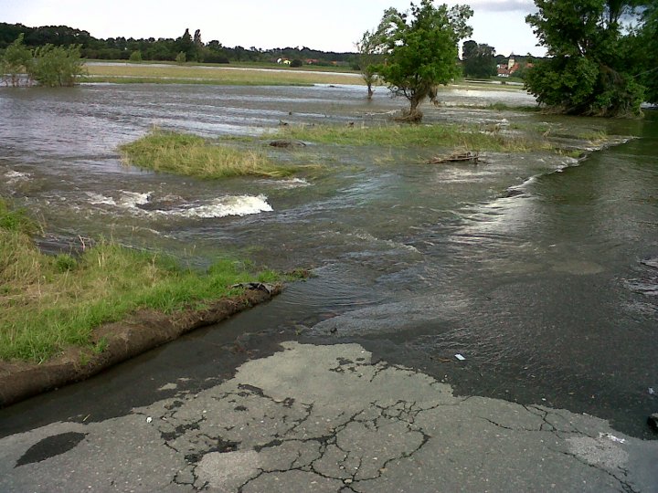 Głoska powódź 2010