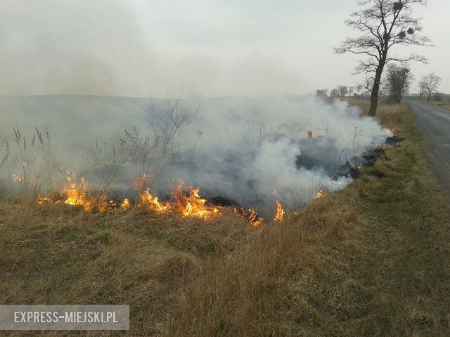 Pożar trawy przy drodze między Wróblowicami a Lutynią