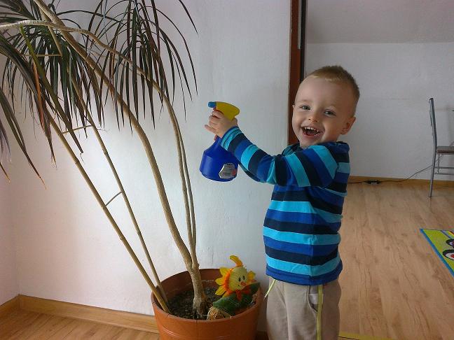 Maciej lubi podlewać kwiatki i robi to sumiennie :)