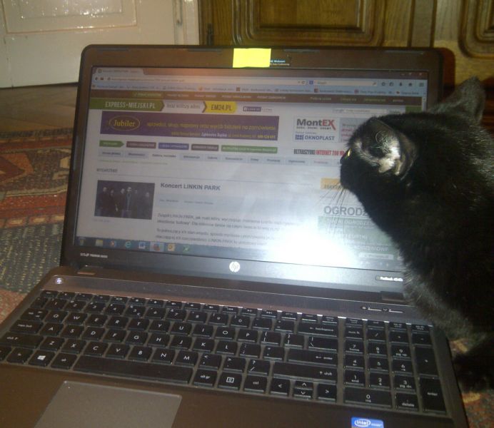 Krzysztof Jaźwiecki