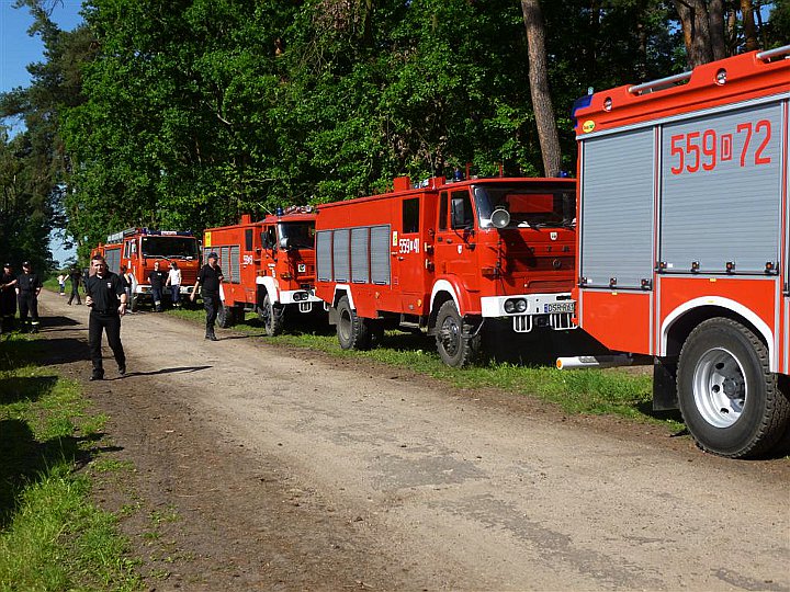 Ćwiczenia w Mrozowie 2014