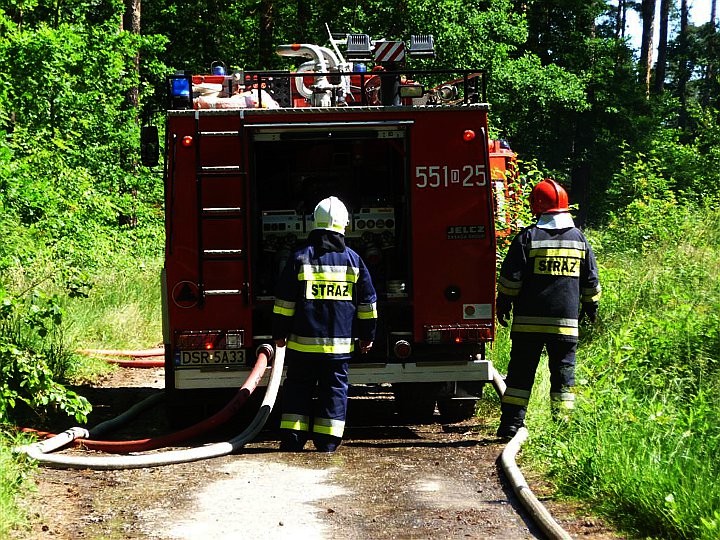 Ćwiczenia w Mrozowie 2014