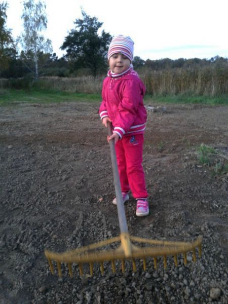 Czyn społeczny w Jastrzębcach