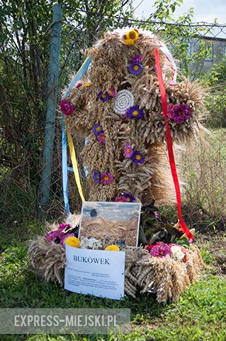 Dożynki gminne w Ogrodnicy