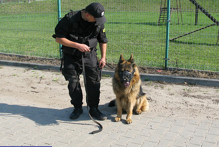 Zawody we Wrocławiu