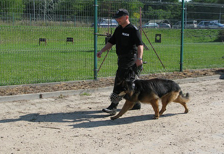 Zawody we Wrocławiu