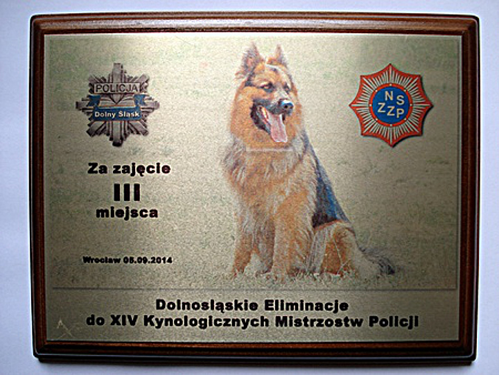 Zawody we Wrocławiu