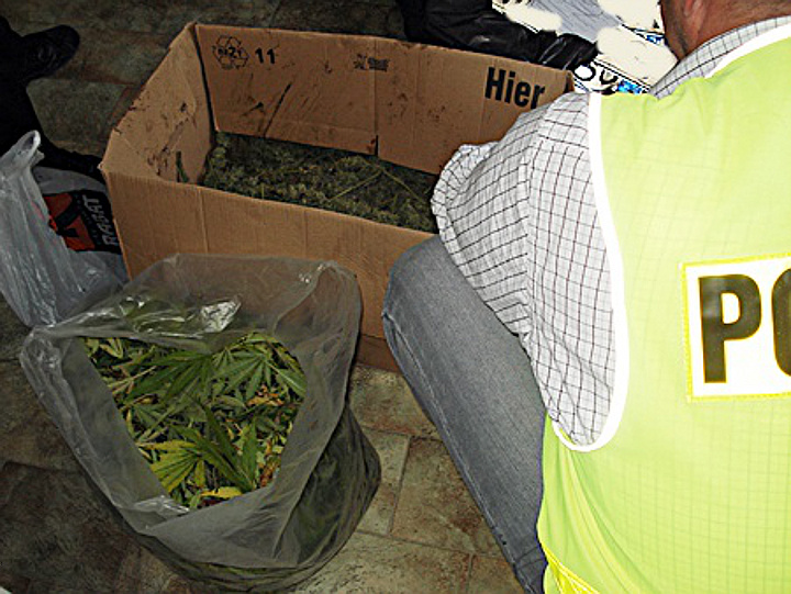 Policjanci zabezpieczyli 4 kg konopi