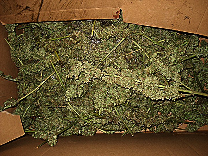 Policjanci zabezpieczyli 4 kg konopi