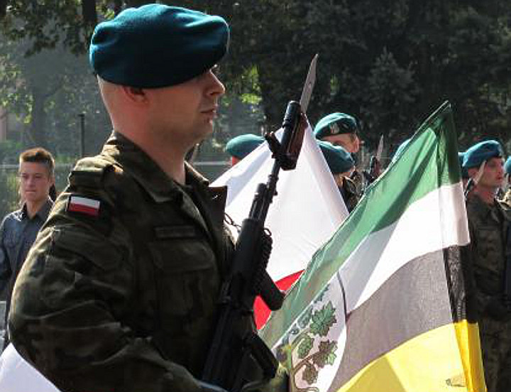 Uroczystości w Środzie Śląskiej