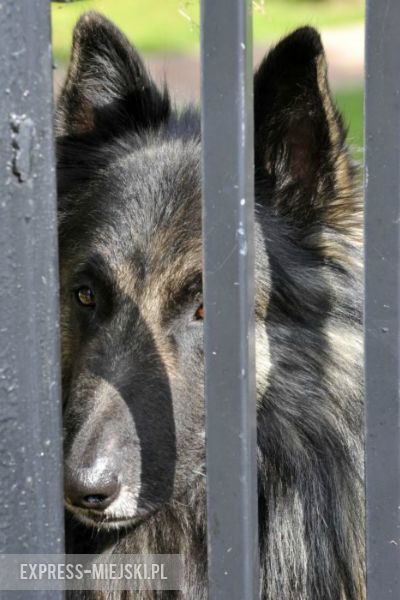 Rajd Nadwiślański 2014