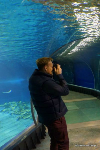 Sebastian Mila we wrocławskim zoo