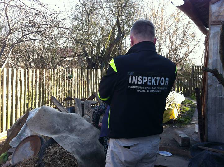 Inspektorzy zabrali psiaki