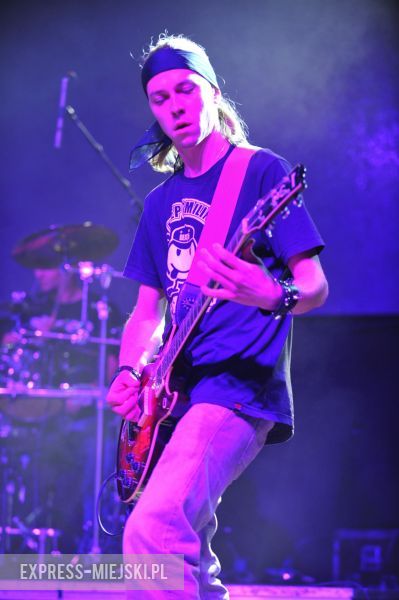 wROCK for Freedom – Sheep