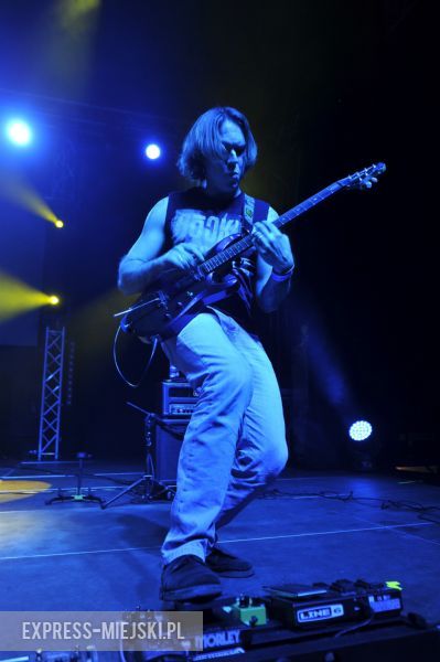 wROCK for Freedom – Sheep