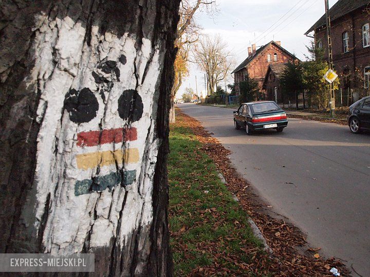 Trasa rowerowa w Malczycach