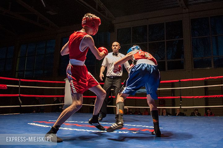 Wielka Orkiestra Świątecznej Pomocy w Środzie Śląskiej