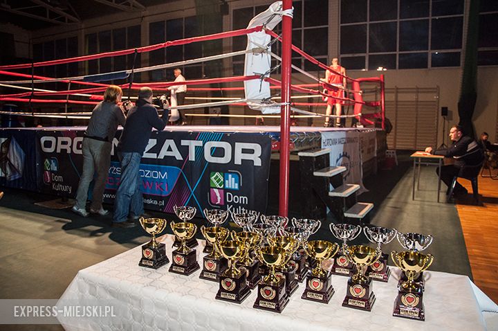 Wielka Orkiestra Świątecznej Pomocy w Środzie Śląskiej