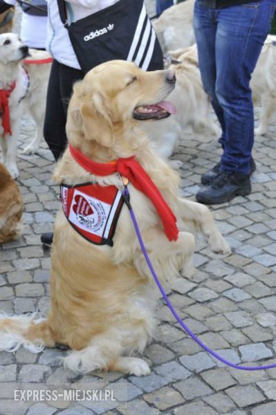 WOŚP 2015 we Wrocławiu