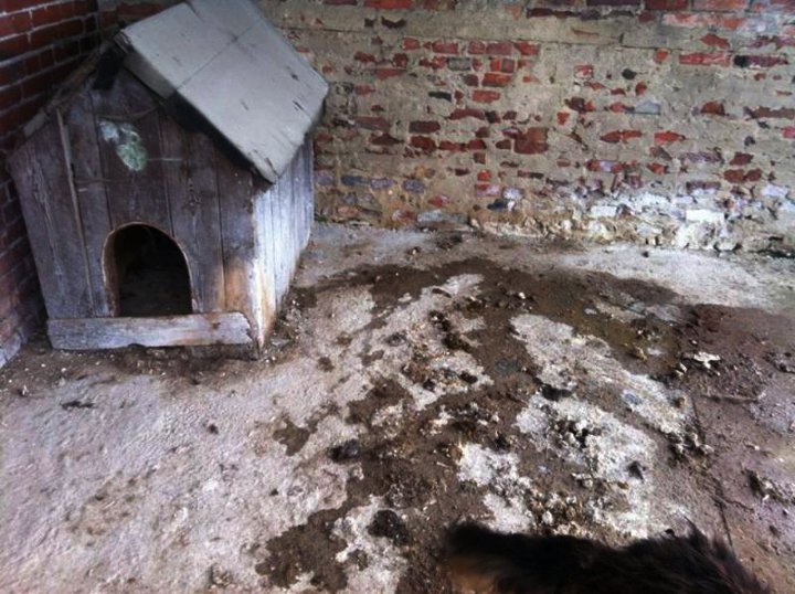 Tak dziś wygląda Brutus