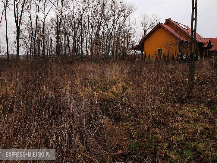 Malczyce - miejsca, gdzie widziano dziki