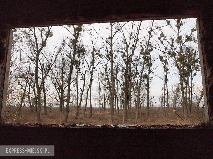 Malczyce - miejsca, gdzie widziano dziki