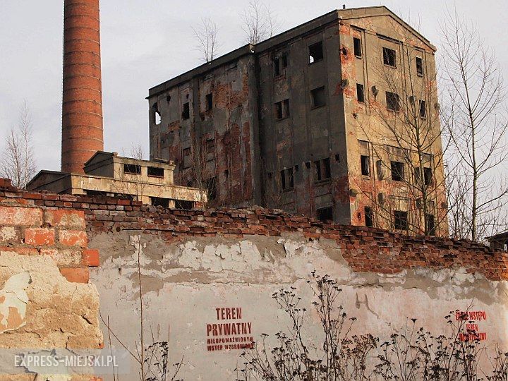 Malczyce - miejsca, gdzie widziano dziki