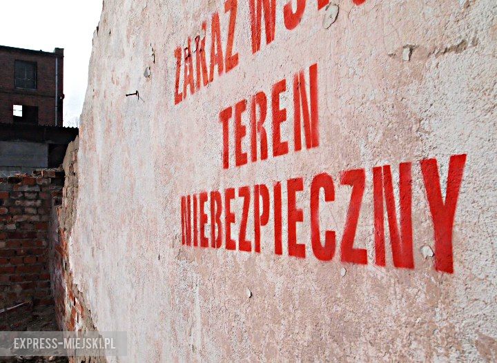 Okolice nieczynnej papierni w Malczycach. Tutaj najczęściej pojawiają się zwierzęta