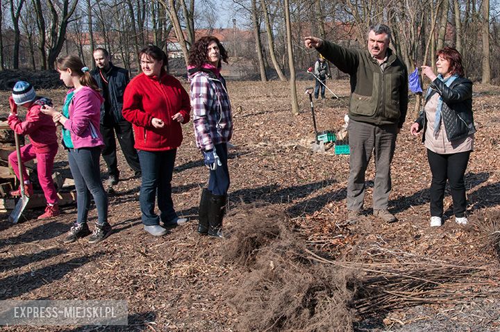 Akcja sadzenia drzewek na terenie parku