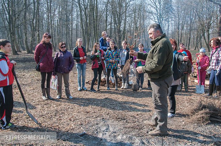 Akcja sadzenia drzewek na terenie parku