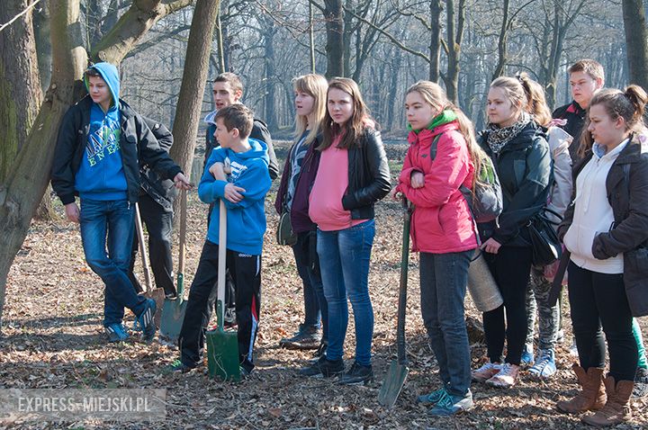 Akcja sadzenia drzewek na terenie parku