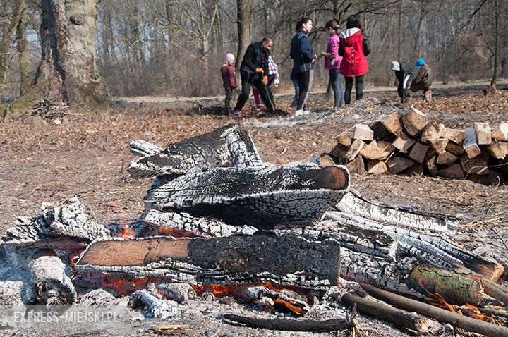 Akcja sadzenia drzewek na terenie parku