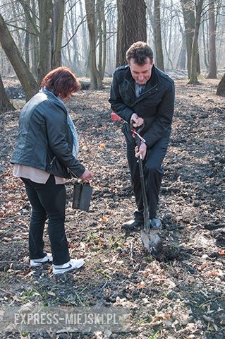 Akcja sadzenia drzewek na terenie parku