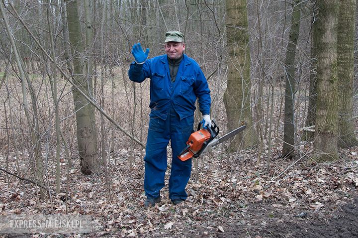 Rewitalizacja parku w toku