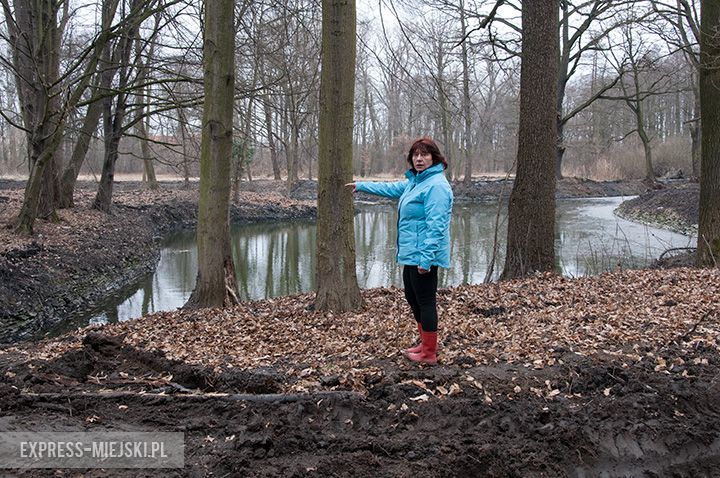 Rewitalizacja parku w toku
