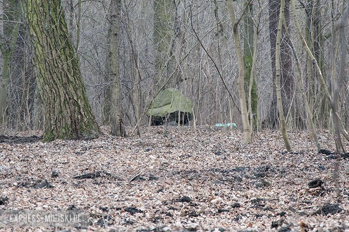 Rewitalizacja parku w toku