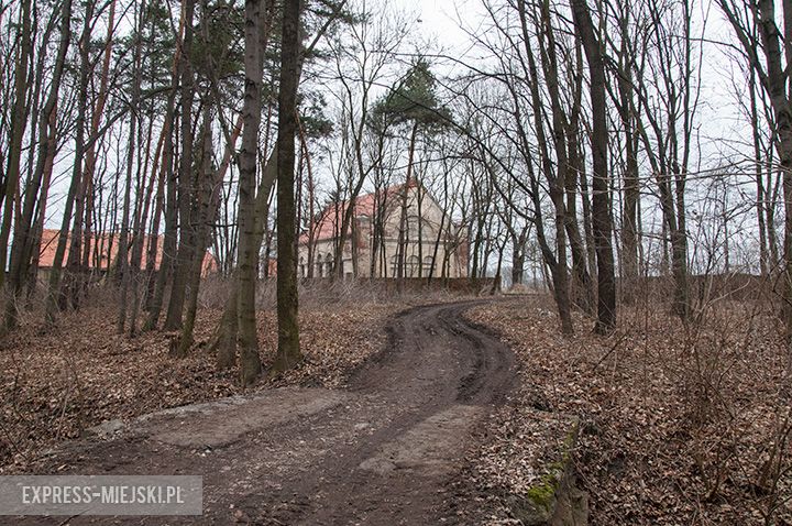 Rewitalizacja parku w toku