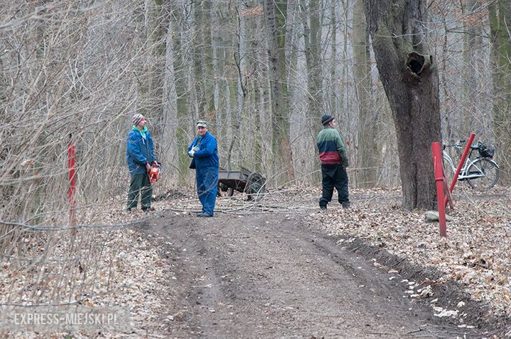 Rewitalizacja parku w toku