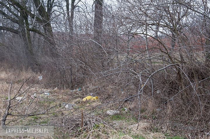 Śmieci i gruz przy murach obronnych w Środzie Śląskiej. Gruz pozostał po uprzątnięciu przez gminę terenu znajdującej się przy ulicy Basztowej działki rekraacyjnej