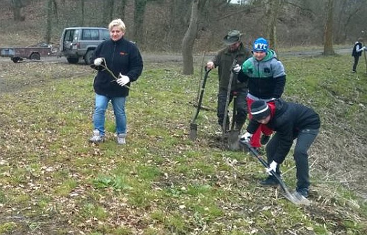 Akcja "Zielonym do góry"